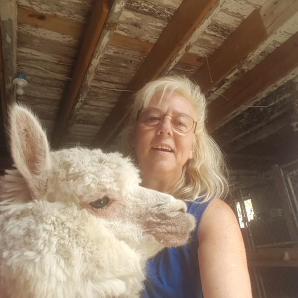 Meet your Posher, Faye - Picture 2 of 2